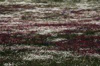 Selim - Noraduz - Lago Sevan - Haghartzin